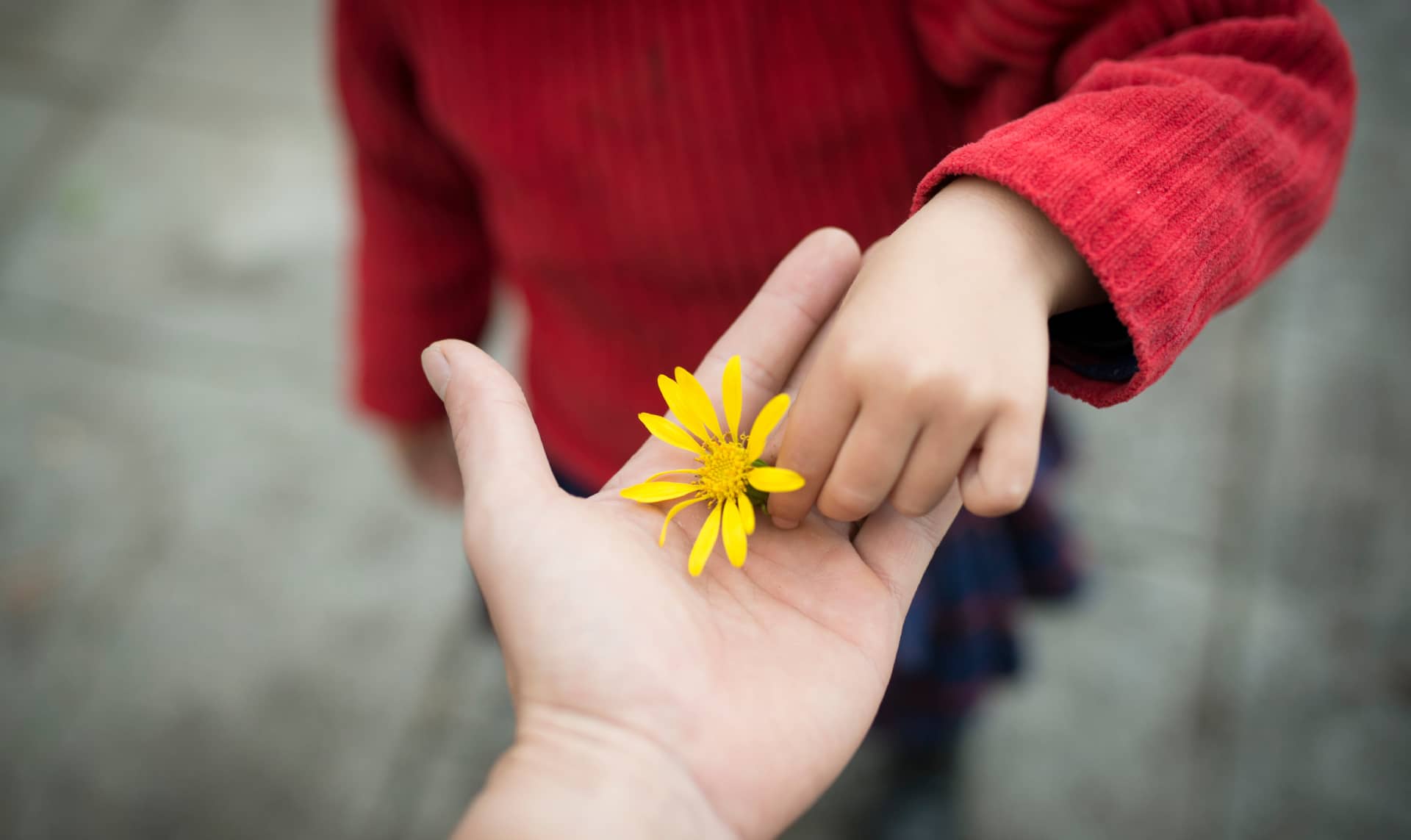 How Small Acts of Gratitude Change Your Brain?